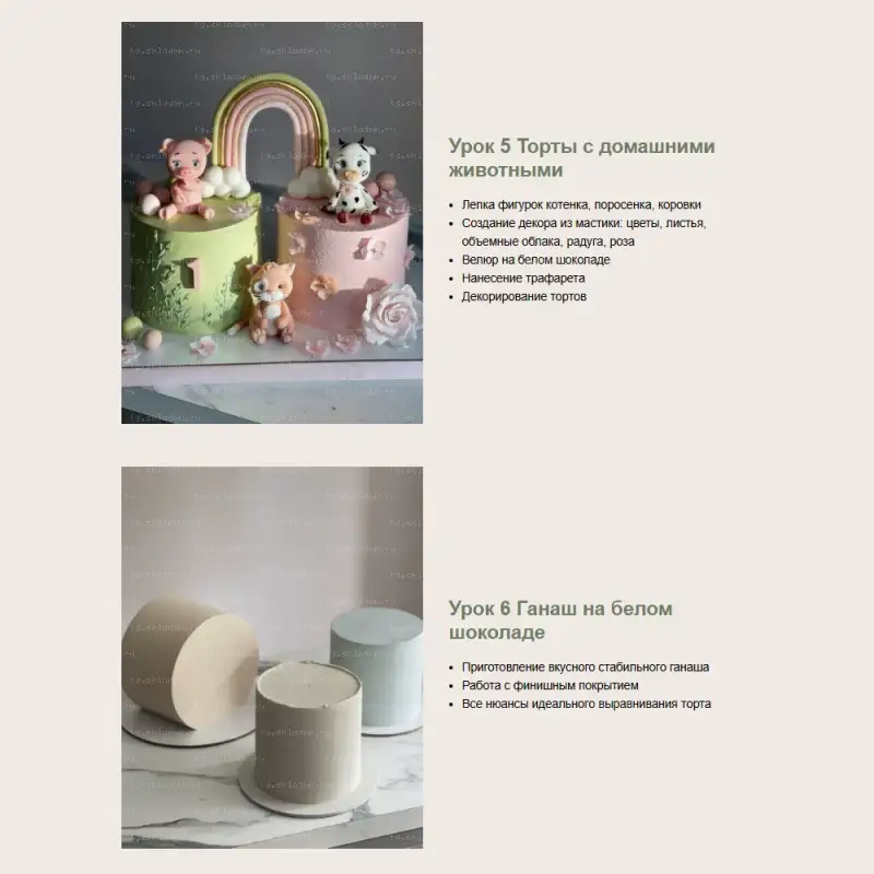 [kasadelika] Декор детских тортов 4.0. Тариф Оптимальный (Анастасия Кудимова, Олеся Кудимова) — превью 4