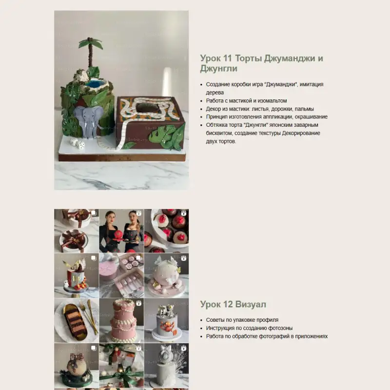 [kasadelika] Декор детских тортов 4.0. Тариф Оптимальный (Анастасия Кудимова, Олеся Кудимова) — превью 7